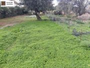 Agia Galini Bebaubares Grundstück in Agia Galini, Kreta Grundstück kaufen